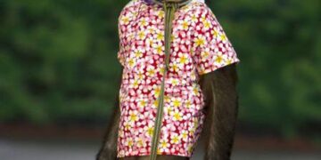 Χειροπέδες σε δικαστικό αντιπρόσωπο μαϊμού