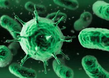 Ποιοι καρκίνοι κάνουν «διακρίσεις» σε πλούσιους και φτωχούς