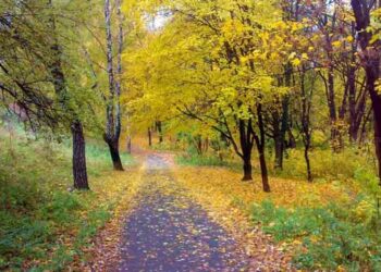 Περίπατος Ορειβατικής Λέσχης Εορδαίας σήμερα, σε τοπικά μονοπάτια της περιοχής