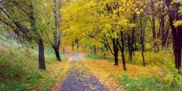 Περίπατος Ορειβατικής Λέσχης Εορδαίας σήμερα, σε τοπικά μονοπάτια της περιοχής