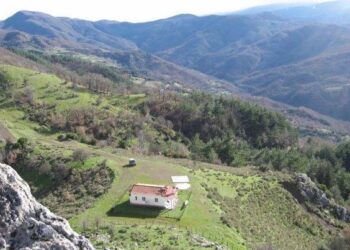 Δημοτική βραδιά στο δάσος των Δώδεκα Αποστόλων