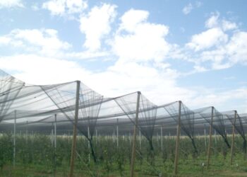 ΕΛΓΑ,ΥΠΟΚΑΤΑΣΤΗΜΑ ΚΟΖΑΝΗΣ: Πρόγραμμα ενεργητικής προστασίας για πρόληψη ζημιών από χαλάζι και βροχή