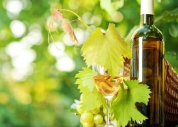 Οι μισοί Ελληνες πίνουν κρασί – Πρωταθλητές στην οινοποσία οι Ιταλοί