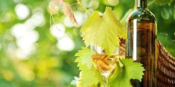 Οι μισοί Ελληνες πίνουν κρασί – Πρωταθλητές στην οινοποσία οι Ιταλοί