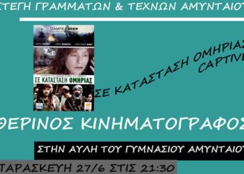 Θερινός κινηματογράφος στο Αμύνταιο