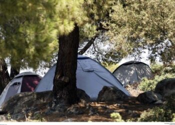 Συνοδοί για το κατασκηνωτικό πρόγραμμα ΑμεΑ 2014