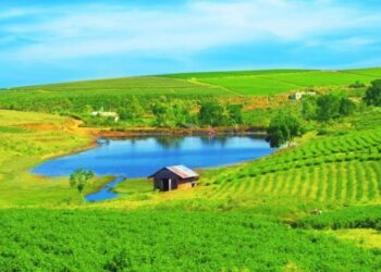 5η Ιουνίου: Παγκόσμια ημέρα περιβάλλοντος – Ο πλανήτης εκπέμπει S.O.S. και η ανθρωπότητα κοιμάται – Γιαννάκης Γεώργιος