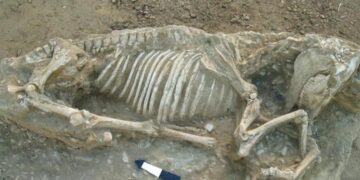 Εντυπωσιακό! Αρχαϊκή νεκρόπολη σε οικόπεδο στη Χίο..