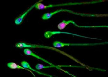 Ασφαλέστερη τεχνητή γονιμοποίηση..