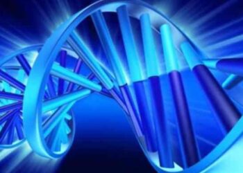 «Άχρηστο» το 92% του ανθρώπινου DNA