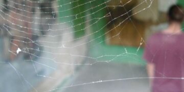 ΜΕ ΤΗΝ ΕΚΘΕΣΗ ΕΙΚΑΣΤΙΚΩΝ ΠΤΥΧΙΑΚΩΝ ΕΡΓΑΣΙΩΝ 50 ΑΠΟΦΟΙΤΩΝ ΤΟΥ ΤΜΗΜΑΤΟΣ ΕΙΚΑΣΤΙΚΩΝ  ΚΑΙ ΕΦΑΡΜΟΣΜΕΝΩΝ ΤΕΧΝΩΝ: Πλημμύρισε έργα τέχνης η πόλη της Φλώρινας  