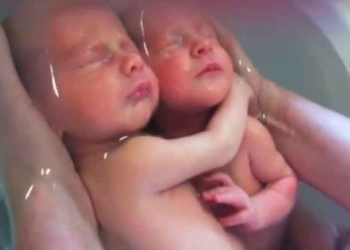 Δεν έχουν καταλάβει ότι γεννήθηκαν…Φανταστικό VIDEO!