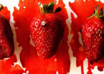 Απόφαση -πρόκληση: Αθώοι οι δύο κατηγορούμενοι για την επίθεση κατά των εργατών στη Μανωλάδα