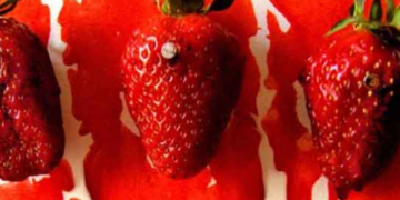 Απόφαση -πρόκληση: Αθώοι οι δύο κατηγορούμενοι για την επίθεση κατά των εργατών στη Μανωλάδα