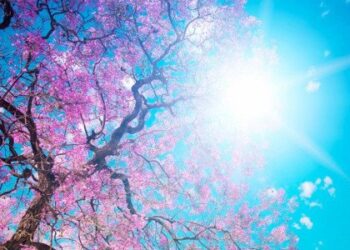 Στους 35 βαθμούς ο υδράργυρος -Ανεβαίνει κι άλλο από αύριο η θερμοκρασία