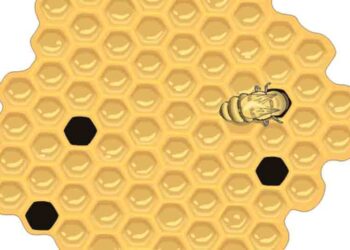 Πρόληψη της παχυσαρκίας με μέλι!