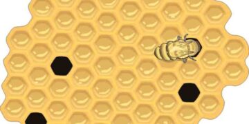 Πρόληψη της παχυσαρκίας με μέλι!