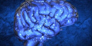 Σχέδιο δημιουργίας νέας μνήμης