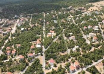 Παίρνουν άδειες οικοδομικοί συνεταιρισμοί σε δασικές εκτάσεις