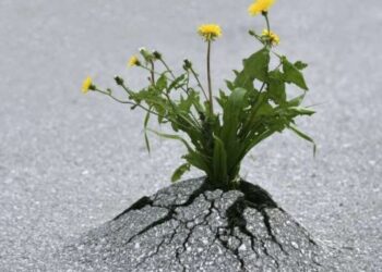 Τα εμπόδια στη ζωή μας