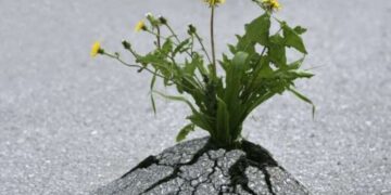 Τα εμπόδια στη ζωή μας