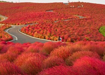 Μα, τι υπέροχος κόσμος.. 22 φωτογραφίες που μας κάνουν να παραμιλάμε για την ομορφιά του πλανήτη μας..