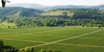 Παραχωρήσεις δημοσίων εκτάσεων και υποδομών του ΥΠΑΑΤ στον Δήμο Εορδαίας και Κοζάνης