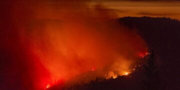 Στάχτη 14.000 στρέμματα δάσους στο Εθνικό Πάρκο Γιοσέμιτι