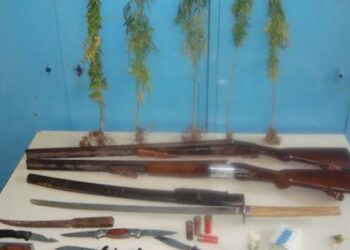 Χασισοκαλλιεργητής με σπαθιά και μαχαίρια στην Ικαρία!