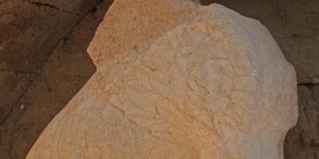 ΔΕΣΦΑ: Προσφέρει 30.000 ευρώ για την ενίσχυση των ανασκαφών στην Αμφίπολη