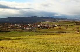 6ο Αντάμωμα Δαφνεριωτών