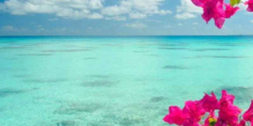 Καύσωνας με αφρικανική σκόνη κάνουν αποπνικτική την ατμόσφαιρα -Πού θα χτυπήσει «κόκκινο» ο υδράργυρος