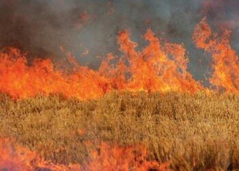 Αγνοούν επιδεικτικά τον νόμο και «λαμπαδιάζουν» τις καλαμιές στον Νομό Κοζάνης