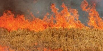 Αγνοούν επιδεικτικά τον νόμο και «λαμπαδιάζουν» τις καλαμιές στον Νομό Κοζάνης