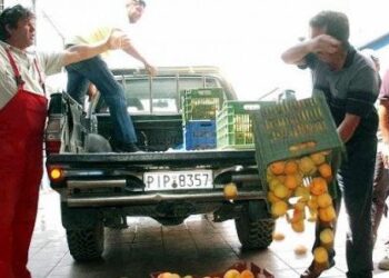 Οριστικό «όχι» της ΕΕ για τις αποζημιώσεις στα ελληνικά ροδάκινα