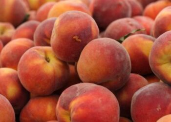 Διανομή ροδάκινων σε Πολύτεκνους το Σάββατο στην αποθήκη του Συλλόγου