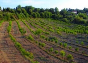 Είδε πόσα θα πληρώσει για τον ΕΝΦΙΑ και παραλίγο να καταλήξει στο νοσοκομείο [εικόνα]