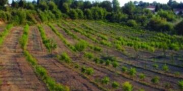 Είδε πόσα θα πληρώσει για τον ΕΝΦΙΑ και παραλίγο να καταλήξει στο νοσοκομείο [εικόνα]