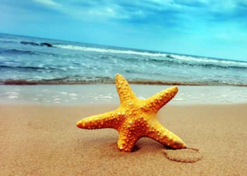 Ο ΠΤΟΛΕΜΑΙΟΣ σε διακοπές