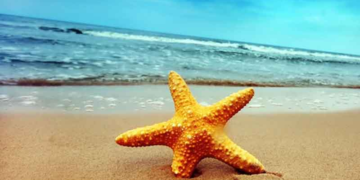 Ο ΠΤΟΛΕΜΑΙΟΣ σε διακοπές