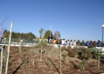 Δενδροφύτευση και περιποίηση “Βιότοπου” στο Μουσικό Σχολείο Πτολεμαΐδας
