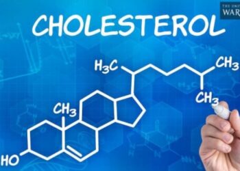 Ποια τροφή «σκοτώνει» την καλή χοληστερόλη και προκαλεί καρδιοπάθειες