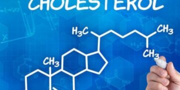 Ποια τροφή «σκοτώνει» την καλή χοληστερόλη και προκαλεί καρδιοπάθειες