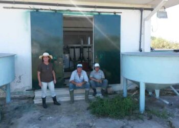 Εμπλουτίστηκε με κυπρίνους η λίμνη Βεγορίτιδας