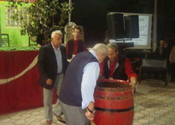 Κοσμοσυρροή στα Θρακικά « ΕΠΙΛΗΝΙΑ 2014 » της Θρακικής Εστίας Εορδαίας.