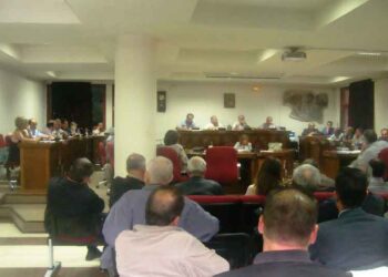 Το θέμα των οφειλών ιδιωτών προς την ΔΕΤΗΠ απασχόλησε το Δημοτικό Συμβούλιο Εορδαίας