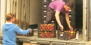 Μεγάλη προσέλευση στη διανομή νεκταρινιών στους Πολύτεκνους της Εορδαίας