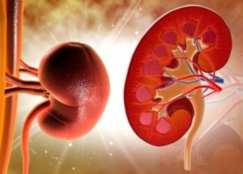 Πότε επιβάλλεται να κάνετε εξετάσεις στα νεφρά σας