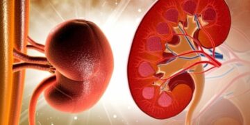 Πότε επιβάλλεται να κάνετε εξετάσεις στα νεφρά σας