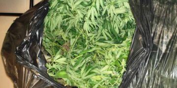 Σύλληψη 42χρονου για καλλιέργεια και κατοχή κάνναβης